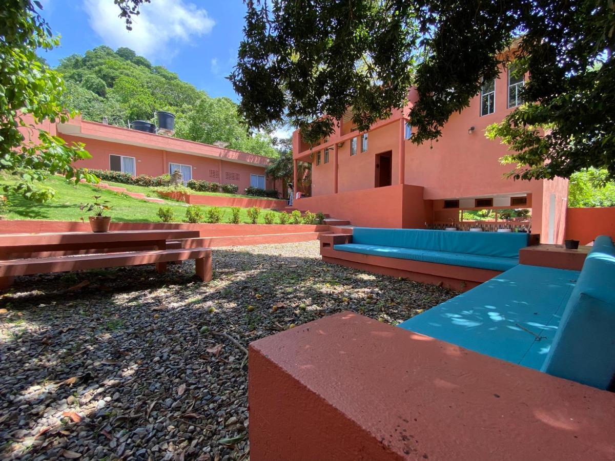 Color Hostel Palomino Exterior foto